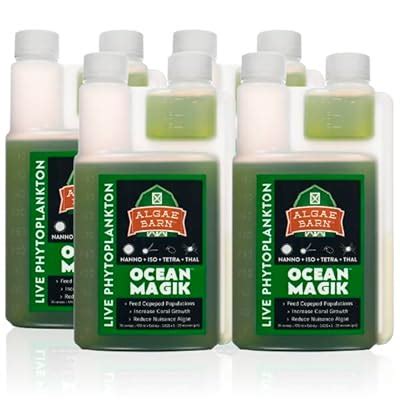 AlgaeBarn OceanMagik Live Phytoplankton Blend - Coral and India | Ubuy