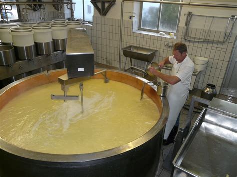 Image result for Cheese Manufacturing Process