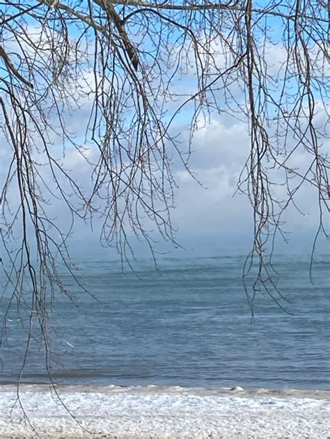 Image result for Infinity Elephants