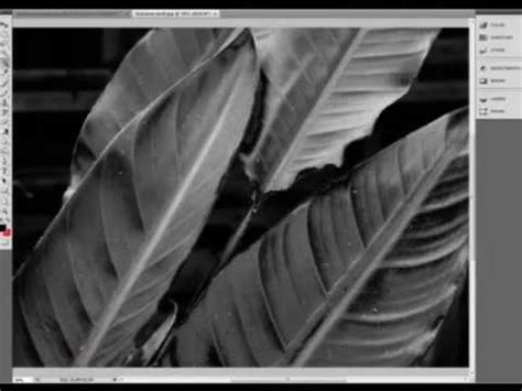 Photography 的图像结果