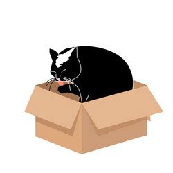 Open cartoon flat cardboard box on white Vector Image