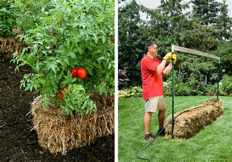 Straw Bale Gardening Techniques