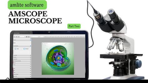 Image result for AmScope Tutorial