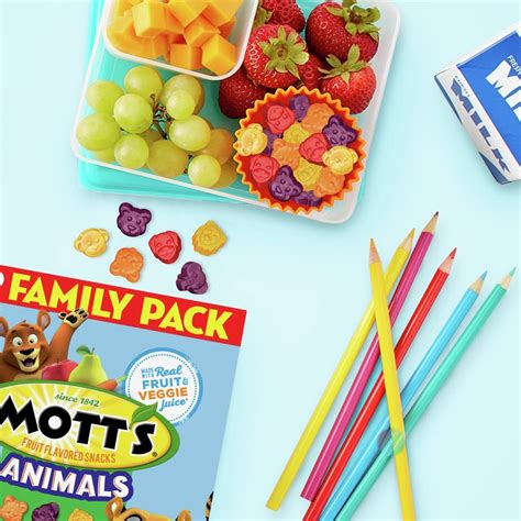Snapklik.com : Motts Fruit Flavored Snacks, Easter Basket Stuffers ...