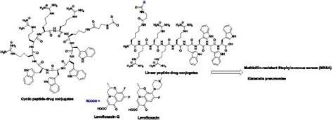 Synthesis and Evaluation of Antimicrobial Activity of [R4W4K ...