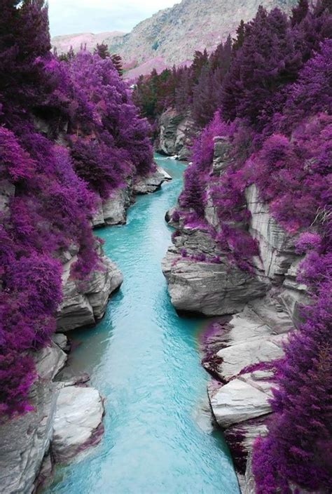 Le plus beau paysage fleuri! Voyez les meilleures images de la nature - Archzine.fr