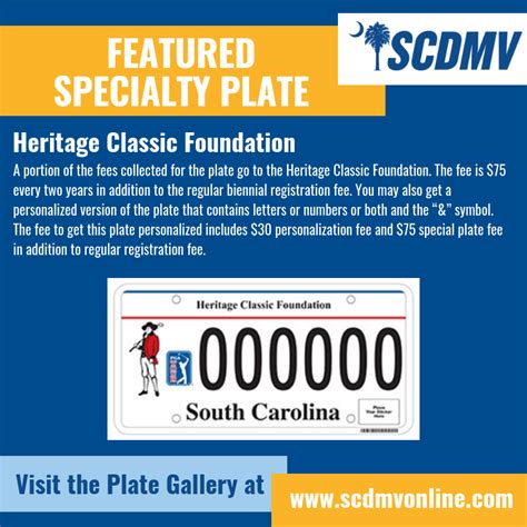 Image result for SCDMV License Plate Frame