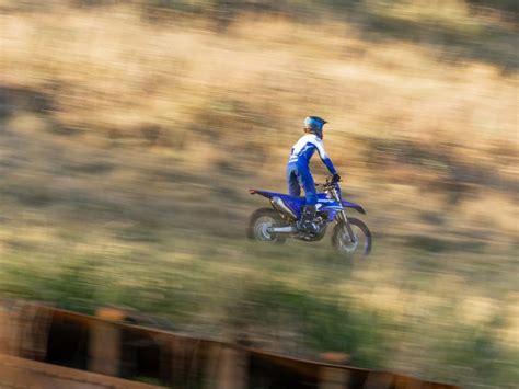 New 2025 Yamaha WR250F | Motorcycles in Alamosa CO | YAMA000724 Team ...