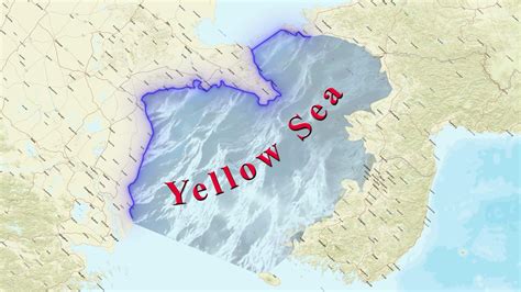 yellow sea facts