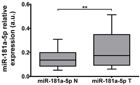 MiR-181a-5p Regulates NIS Expression in Papillary Thyroid Carcinoma