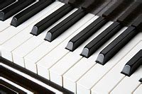 Image result for Piano Roblox Corpse Bride