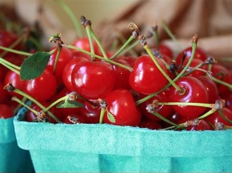 5 Best Cherry Picking NY Offers This Summer