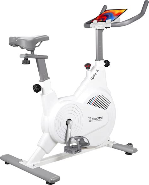 Reach AB-110 BST Air Bike Exercise Cycle with Moving or Stationary ...