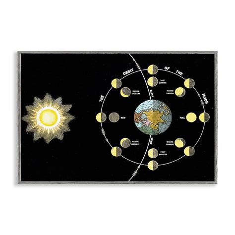 Stupell Industries Moon's Orbit and Phases Gray Framed Giclee Art By ...