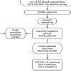 *Make a flow chart to represent all the steps a scientist will take to ...