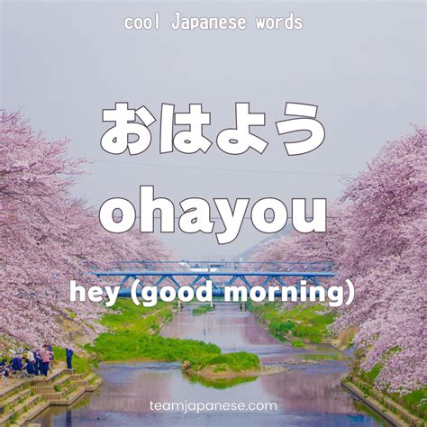 20+ Cool Japanese Words you Won't Learn at School - Team Japanese