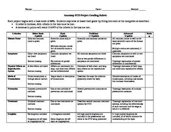 STD Project with Grading Rubric by grubbmcc | TPT