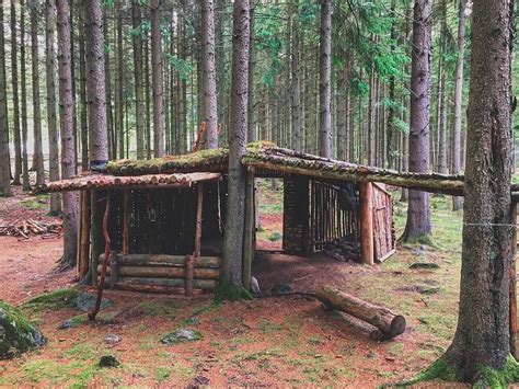 Image result for Different Types of Survival Shelters
