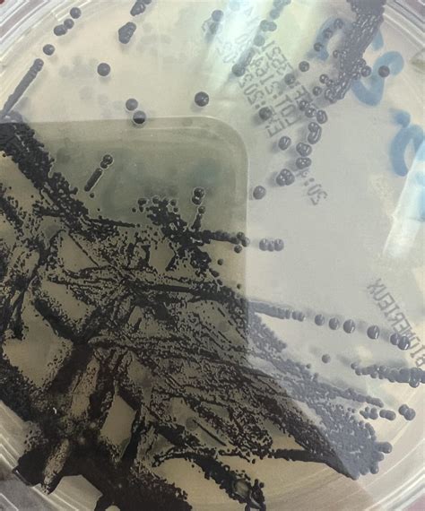 Image result for Human Defence Line Skin