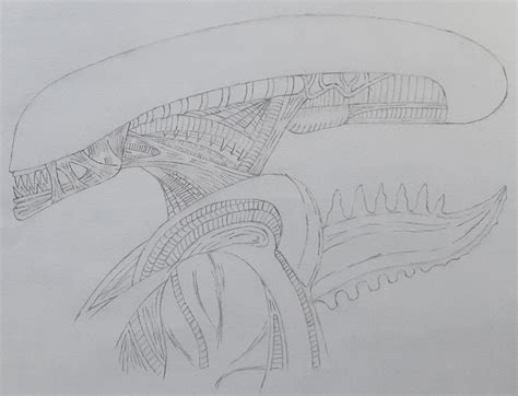 Xenomorph Drawing Tutorial 的图像结果