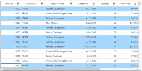 Image result for Forms DataGrid