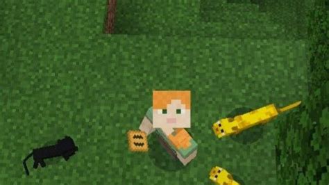 Image result for Cat Minecraft Mods