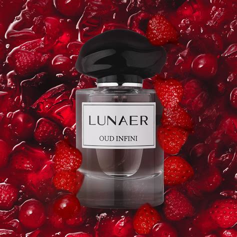 Buy OUD INFINI Perfume for Men and Women With Raspberry, Oud, Vanilla ...