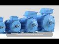 Manufacturer of ABB Electric Motor by Industrial Drives And Controls ...