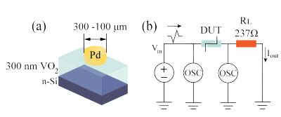 Journal Publications