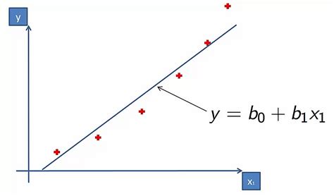 Linear Polynomial 的图像结果