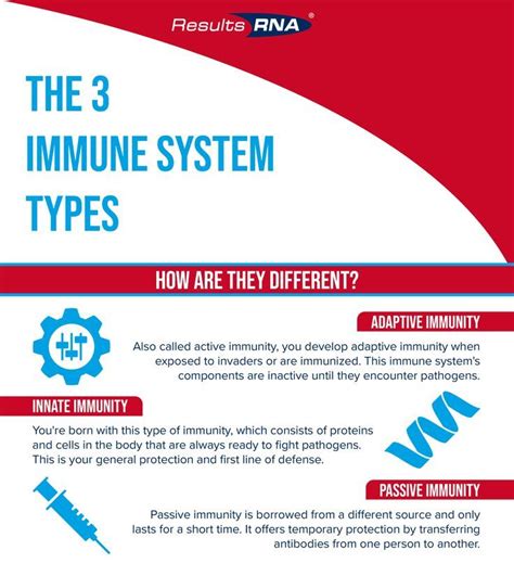 2 types of immune system