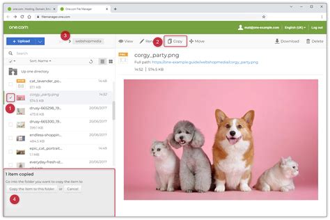 Image result for One File Instructions