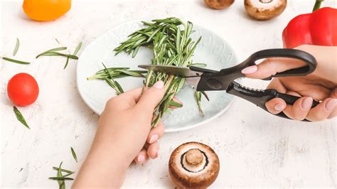 Image result for How to Sharpen Kitchen Scissors