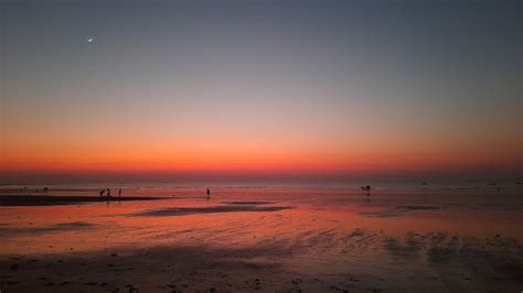 Shirgaon Beach, Palghar - Things to Do, Timings & Photos