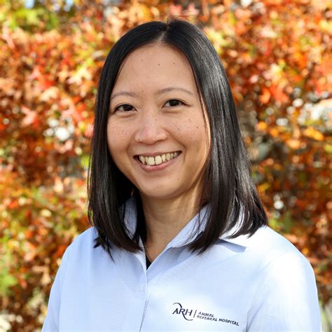 Cholecystectomy for a ruptured gall bladder mucocoele in a dog - Vet Practice Magazine