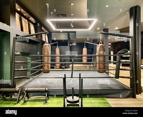 Boxing Gym 的图像结果