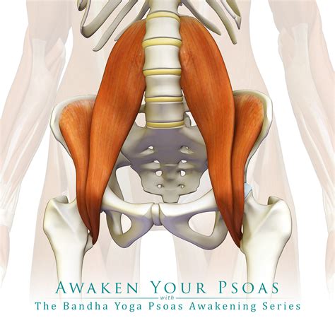 Image result for Psoas Sign