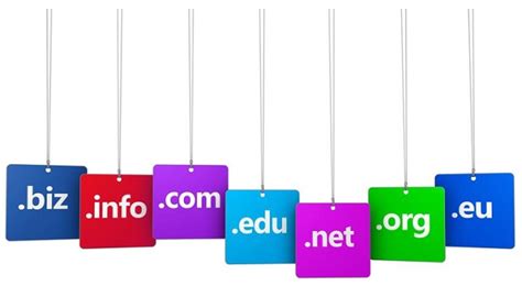 Image result for Domain Name Search Engine