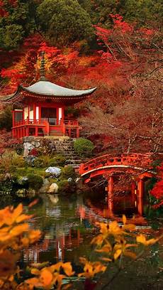 Fall Japan Iphone Wallpaper by Autumn In Japan Apple Iphone 7 Hd Wallpapers Fall Japan Iphone Wallpaper