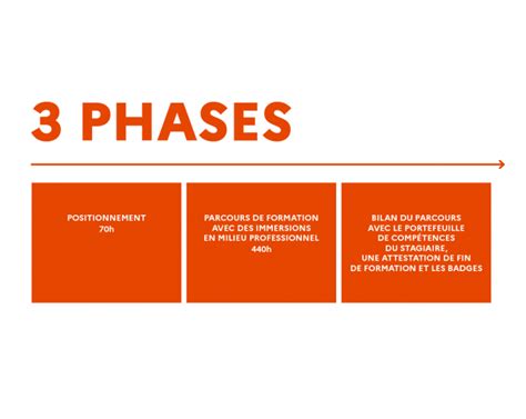 Image result for Projet Pro