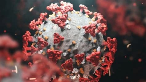 Sub-Variants Of Omicron Replacing Delta In India: Report