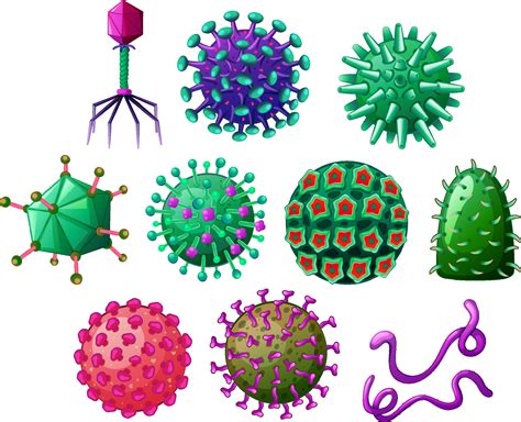Les bases de la Virologie – LVTS UMRS1148 INSERM UP Cité USPN