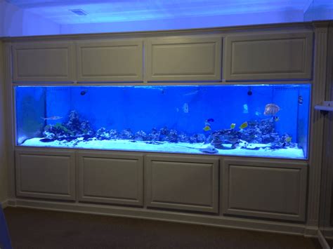 1000 Gallon Fish Tank, 1000 Gallon Aquarium From SeaQuatic Aquariums