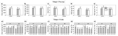 Effect of Tillage, Previous Crop, and N Fertilization on Agronomic and ...