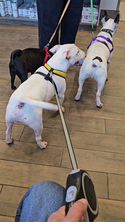 LAKE ANNA VETERINARY HOSPITAL - Mineral VA - Hours, Directions, Reviews ...