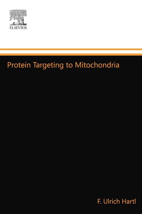 Protein Targeting to Mitochondria : Amazon.in: Books