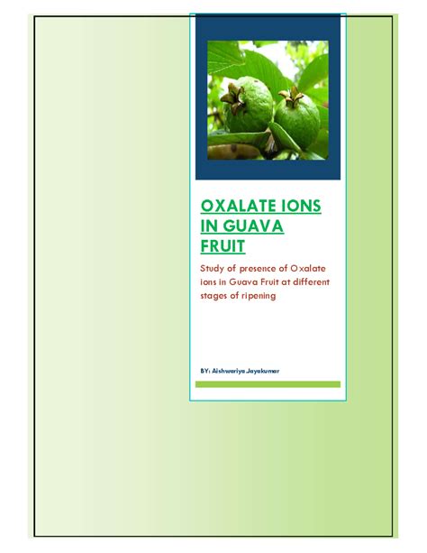 Chemistry Investigation: Oxalate Ions in Guava Fruit (CBSE) - Studocu