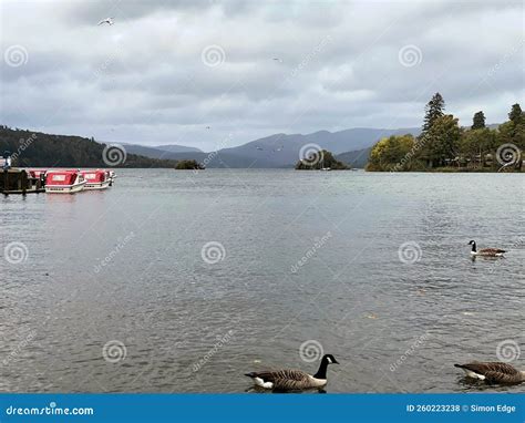 A view of Lake Windermere stock photo. Image of waterway - 260223238