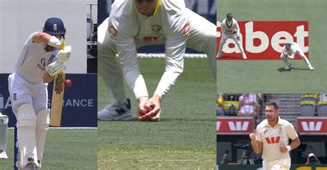Ashes 2025-26 [WATCH]: Steve Smith takes a stunning low catch to ...