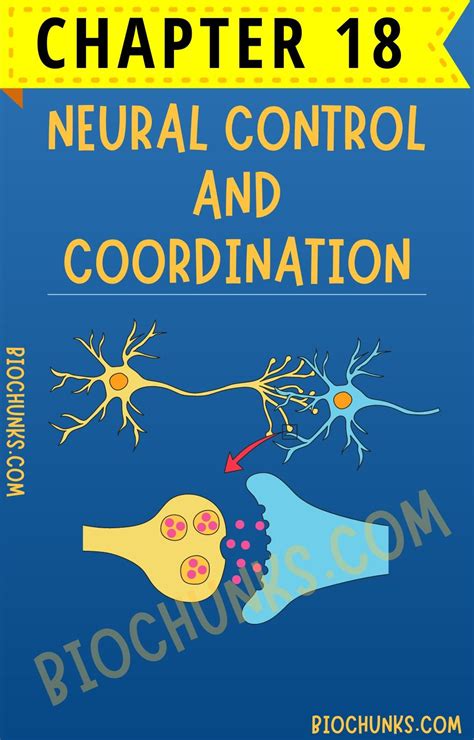 Image result for Neural Control Mechanism